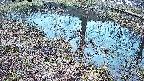 mizubasho6-20250404180030.jpg