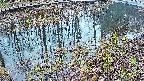 mizubasho7-20250404052042.jpg