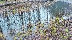 mizubasho7-20250404053043.jpg