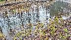 mizubasho7-20250404061042.jpg