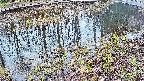 mizubasho7-20250404071043.jpg