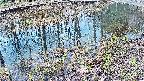 mizubasho7-20250404084045.jpg