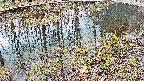 mizubasho7-20250404093039.jpg
