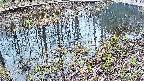 mizubasho7-20250404102042.jpg