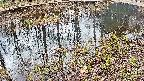 mizubasho7-20250404104040.jpg