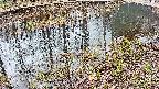 mizubasho7-20250404105044.jpg