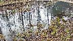 mizubasho7-20250404122042.jpg