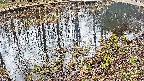 mizubasho7-20250404123039.jpg