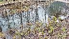 mizubasho7-20250404130042.jpg