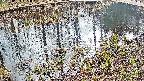 mizubasho7-20250404131044.jpg