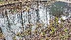 mizubasho7-20250404132043.jpg
