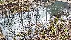 mizubasho7-20250404133041.jpg