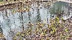 mizubasho7-20250404134042.jpg