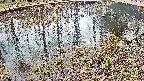 mizubasho7-20250404140043.jpg