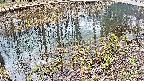 mizubasho7-20250404144043.jpg