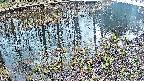 mizubasho7-20250404145043.jpg