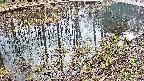 mizubasho7-20250404150044.jpg