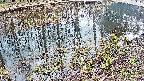 mizubasho7-20250404151043.jpg