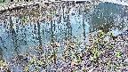 mizubasho7-20250404152043.jpg