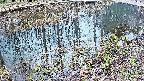 mizubasho7-20250404153045.jpg