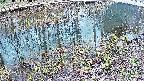 mizubasho7-20250404154043.jpg
