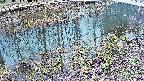 mizubasho7-20250404160043.jpg