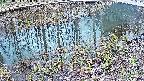 mizubasho7-20250404161045.jpg
