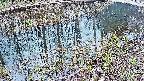 mizubasho7-20250404172041.jpg