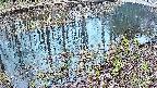 mizubasho7-20250404174043.jpg