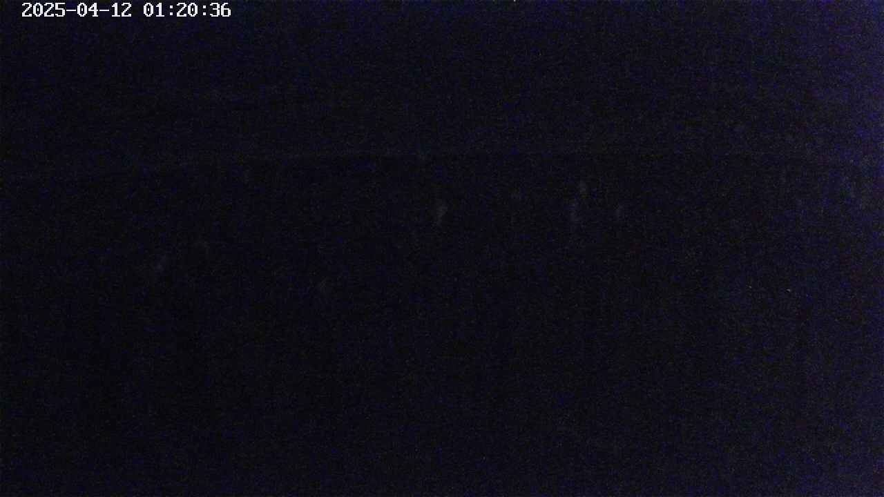 mizubasho7-20250412012038.jpg