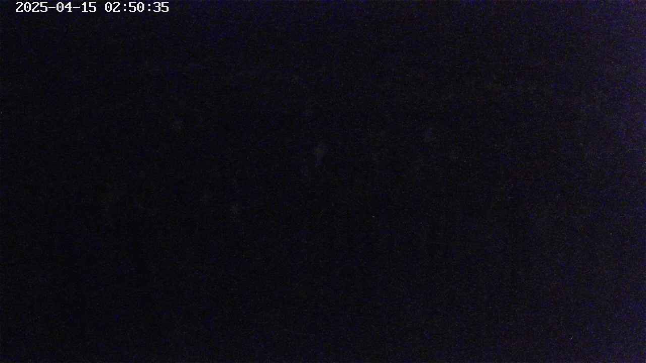 mizubasho7-20250415025037.jpg