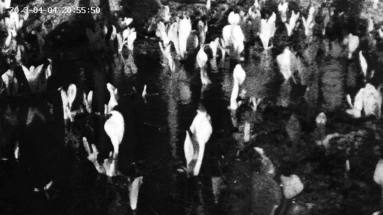 mizubasho8-20230404205552.jpg