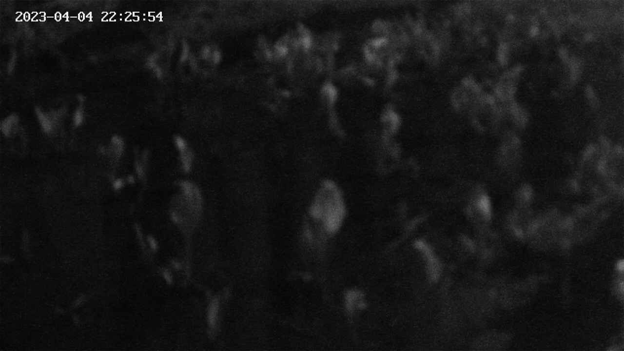 mizubasho8-20230404222556.jpg